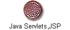 Java Servlets,JSP