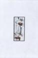 08CR1064G0160005