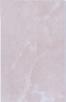 6OS0001G